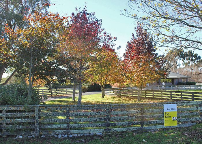  at 63 Millard Avenue, Kuripuni, Masterton