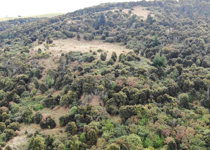  at 410 Outram-Mosgiel Road, North Taieri, Outram