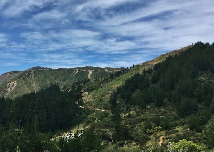 at 97 Matenga Road, Ligar Bay, Tākaka