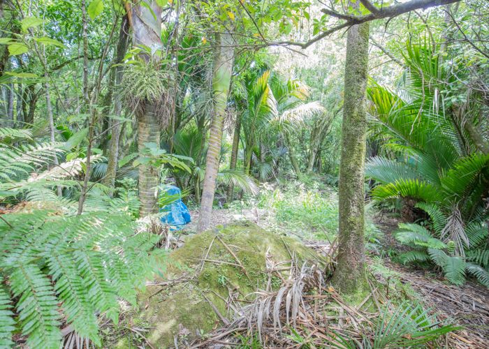  at 12 Hartmount Place, Te Miko