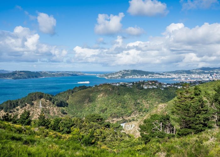 at 10 Cessna Way, Newlands, Wellington