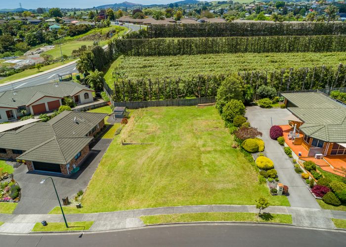  at 7 Corwen Avenue, Hairini, Tauranga
