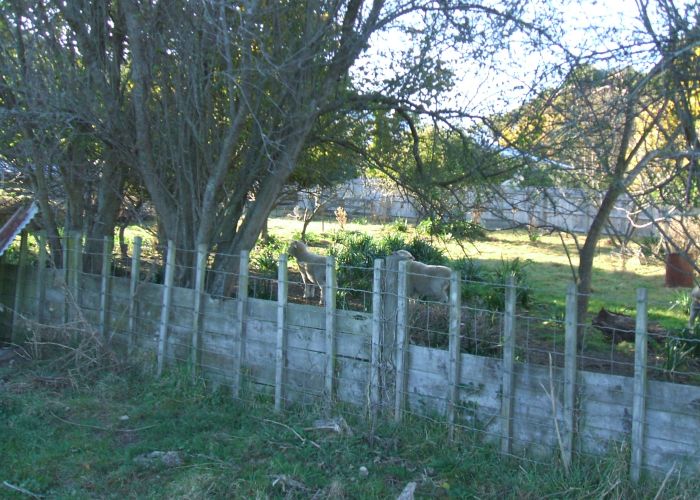 at 45A Benefield Street, Whanganui East, Whanganui