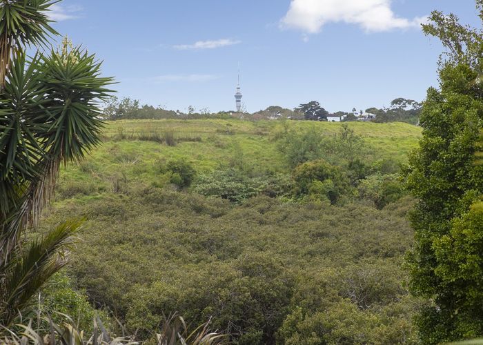  at 1/105 Moa Road, Point Chevalier, Auckland
