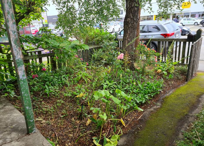  at 83 Macandrew Road, South Dunedin, Dunedin