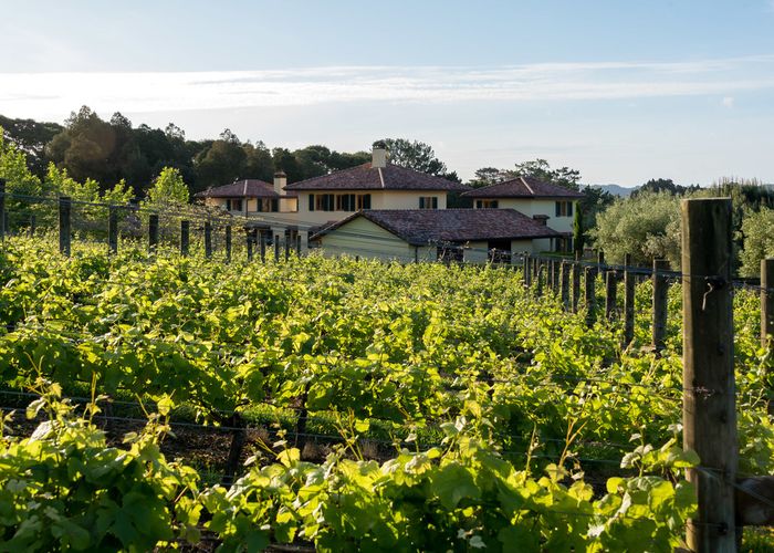 at 53 Munros Road, Papakura