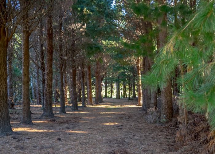  at 351 Upper Waingawa Road, Kaituna, Masterton