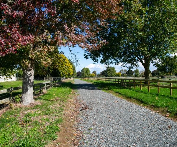  at 336 Bellevue Road, Matangi, Hamilton