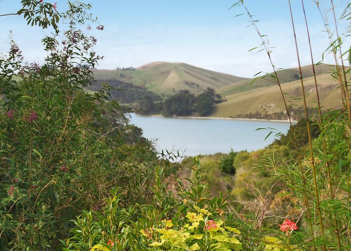  at 461 Pahi Road, Pahi, Paparoa