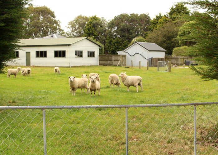 at 155 Tussock Creek Grove Bush Road, Grove Bush, Invercargill