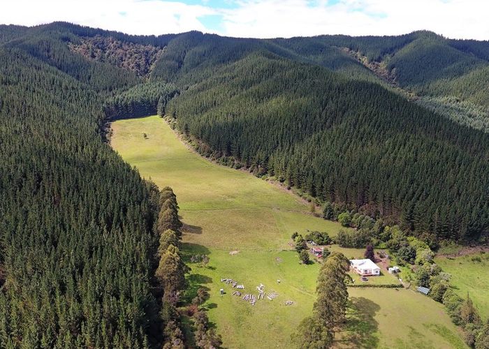 at 739 Tadmor-Glenhope Road, Tadmor