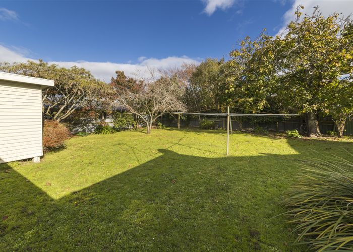  at 38 Limbrick Street, Terrace End, Palmerston North