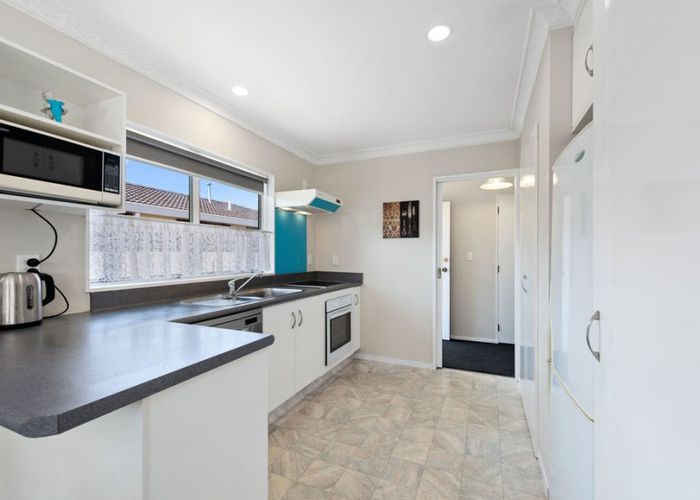 Free property data for 56B Edgecumbe Road, Tauranga homes.co.nz