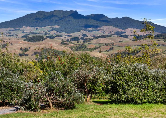  at 11 Somerset Lane, Raglan