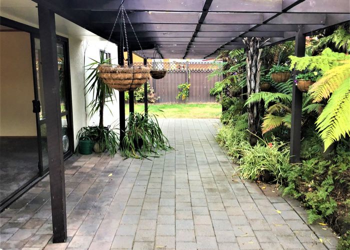  at 64C Avondale Road, Taradale, Napier