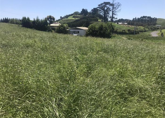  at 101 Pheney Road, Omata, New Plymouth