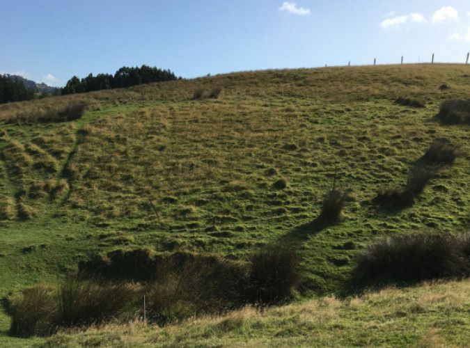  at 50 Mcintosh Road, Brighton, Dunedin