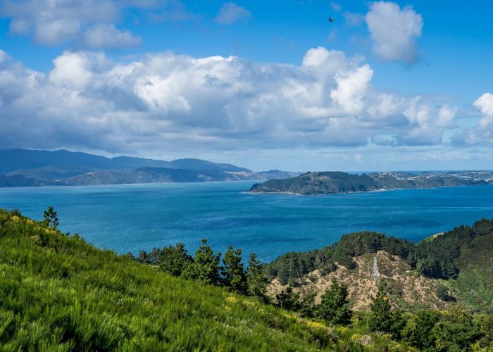 at 10 Cessna Way, Newlands, Wellington