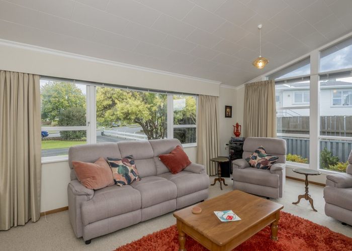  at 17 Burn Street, Levin, Levin