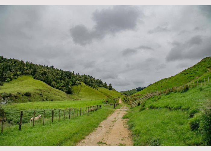  at 950 Waimate Road, WAIMATE NORTH, KERIKERI