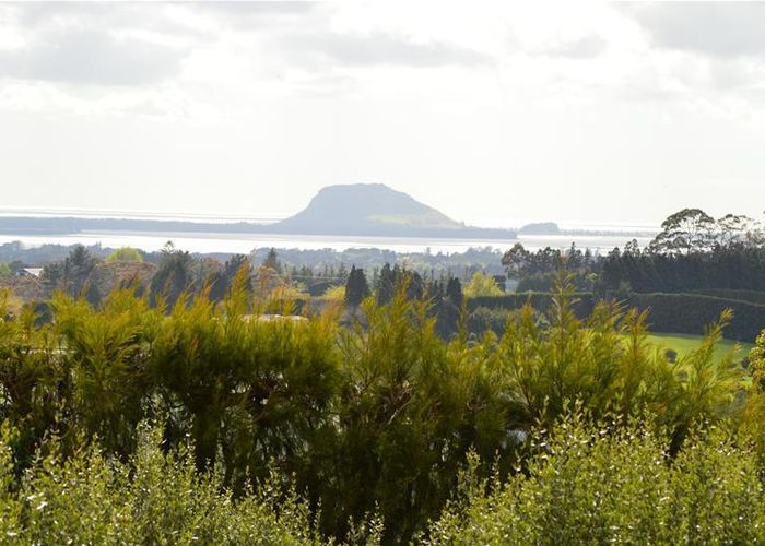  at 40 SINCLAIR RD, Whakamarama, MATAKANA ISLAND