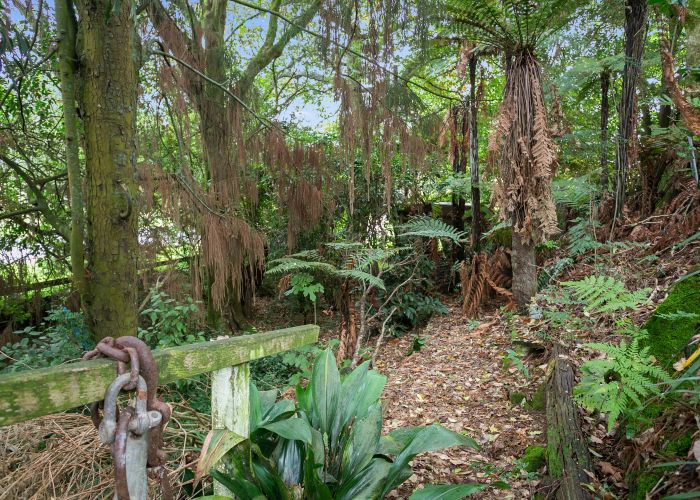  at 16 Momona Road, Piarere, Tīrau