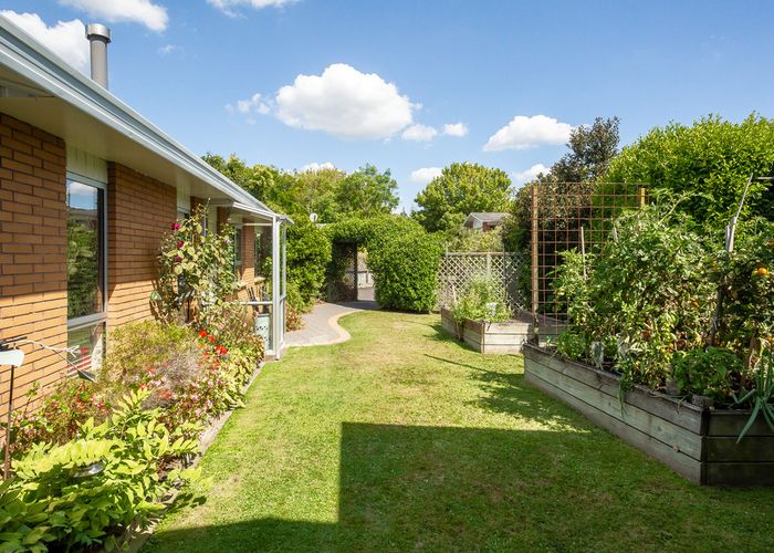  at 24A Maeroa Road, Beerescourt, Hamilton