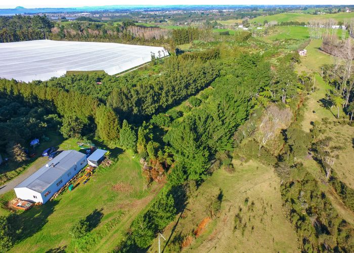  at 167 Woodland Road, Tahawai, Katikati