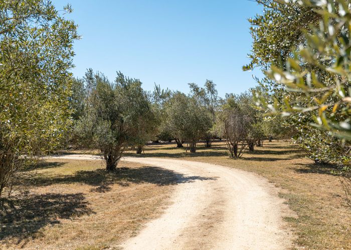  at 25 Loop Line, Masterton