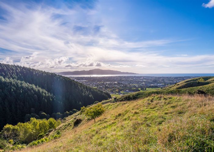  at 91 Nikau Palm Road, Nikau Valley, Paraparaumu