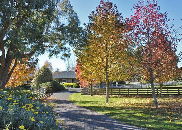  at 63 Millard Avenue, Kuripuni, Masterton
