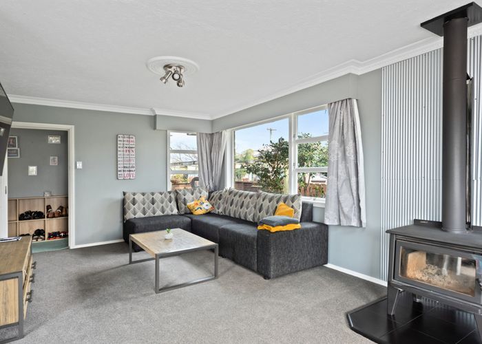  at 91 Alabama Road, Redwoodtown, Blenheim