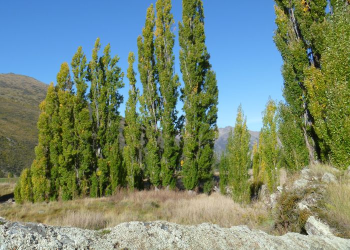  at 2251 Gibbston Highway, Gibbston, Queenstown