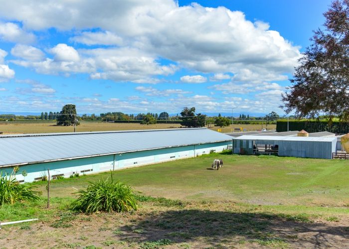  at 164 Home Road, Hastings