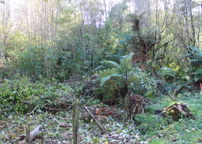 at 470 Wangapeka Road, Little Wanganui