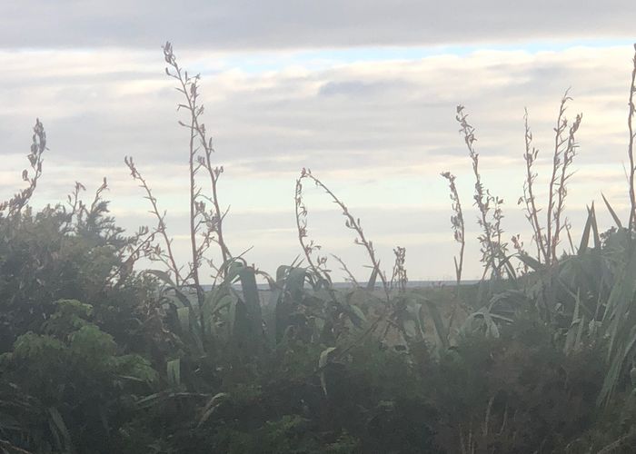  at 77 Johnston Crescent, Haast