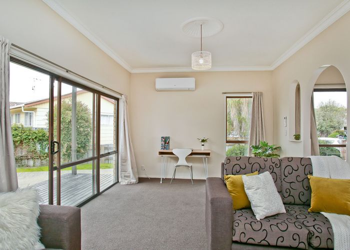  at 24 Hibiscus Avenue, Hamilton Lake, Hamilton
