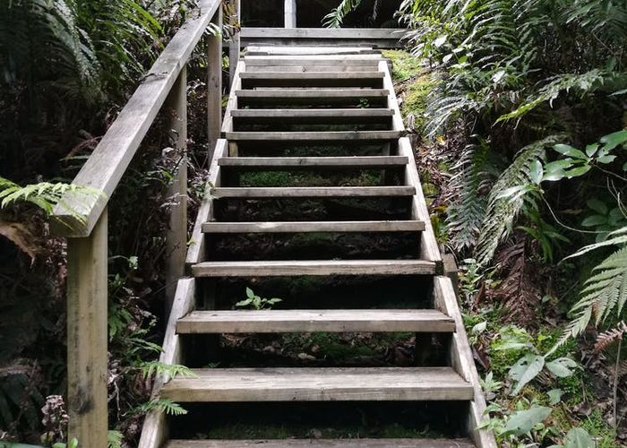  at 496 Spencer Road, Lake Tarawera, Rotorua