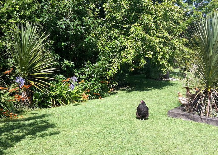  at 32 POWERHOUSE RD, Westport , Westport