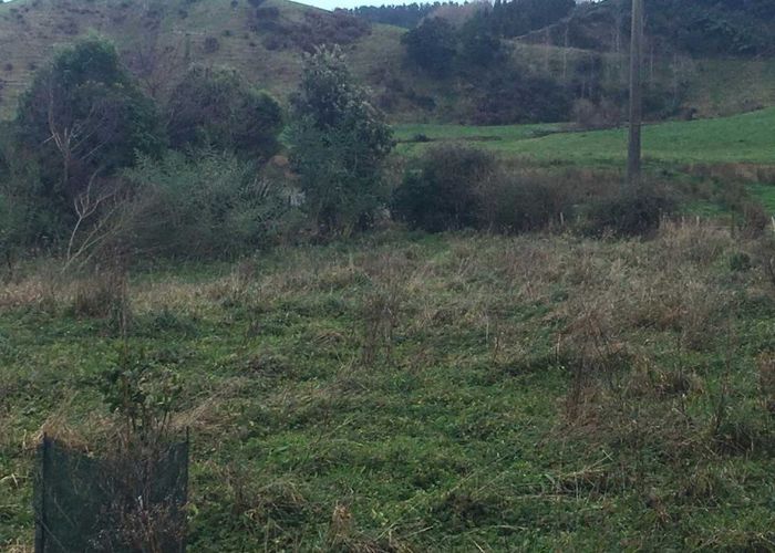  at 0 Potts Road, Koputaroa, Shannon