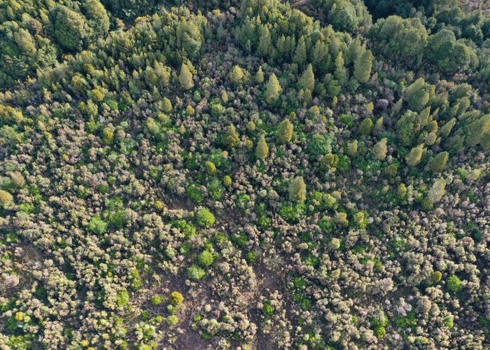  at 0 Harihari Hwy, Kakapotahi, Ross