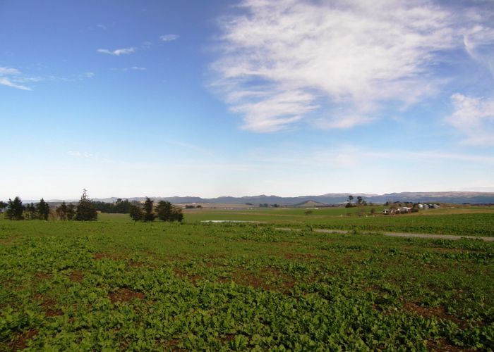  at 0 Gardiners Road, Awamoa, Oamaru