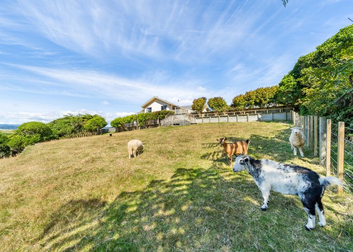  at 110 Kaitangata Crescent, Kelson, Lower Hutt