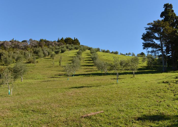  at 137A Pukenui Road, Whangarei
