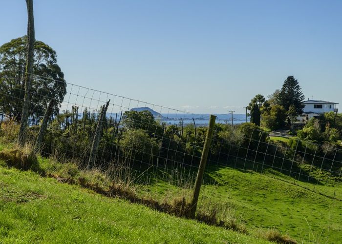  at 329 Minden Road, Tauranga