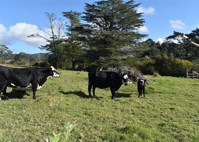  at 6 Coulter Road, Swanson, Auckland