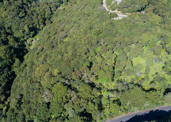  at 39 Taonga Lane, Whangarei