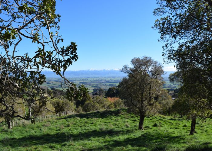  at 399 Admiral Road, Masterton