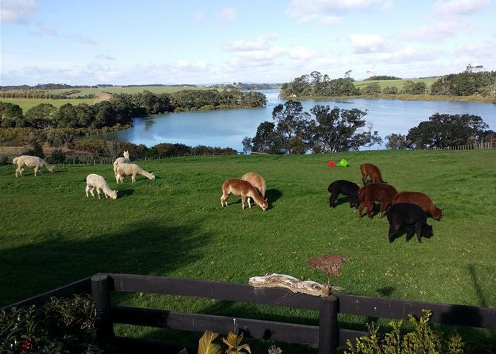  at 85 Boyd Road, Pukekohe