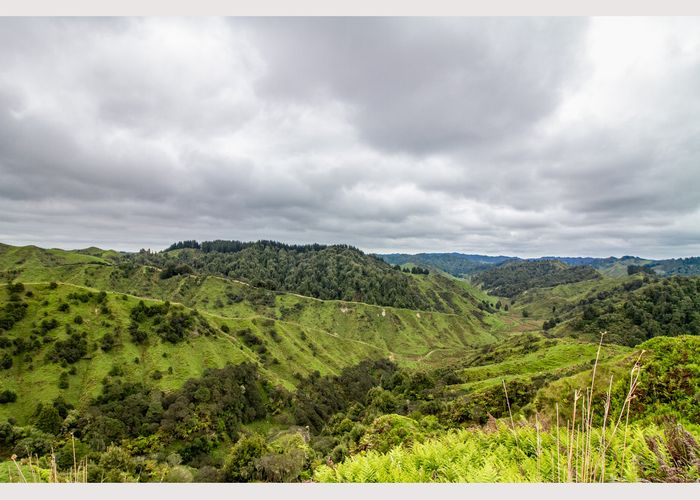  at 950 Waimate Road, WAIMATE NORTH, KERIKERI